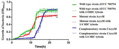 Tylosin Inhibits Streptococcus suis Biofilm Formation by Interacting With the O-acetylserine (thiol)-lyase B CysM